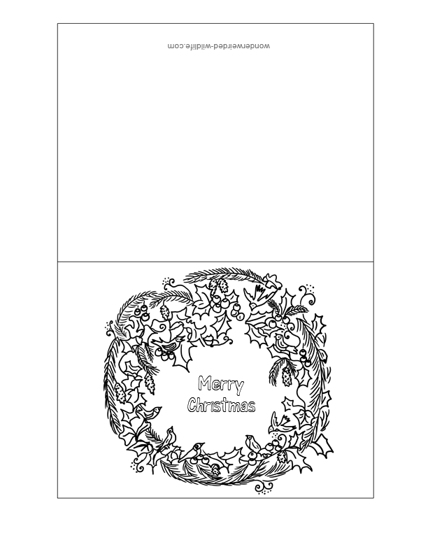Plansa de colorat cu Felicitari 135 41